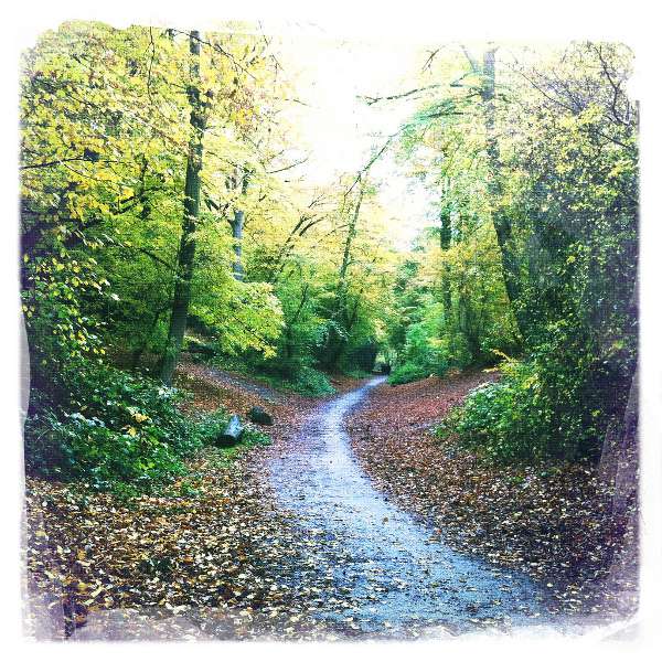 The bridleway east of the railway bridge