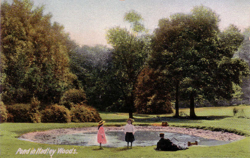 'Pond in Hadley Woods' Blum & Degan postcard
