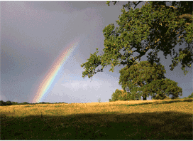 rainbow on Sewitts hill