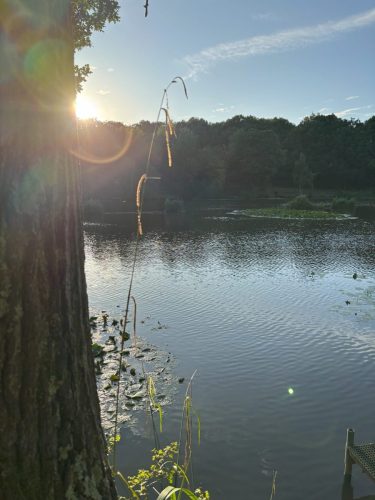 Sunset over Jack's Lake