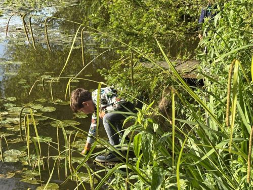 Looking for wildlife