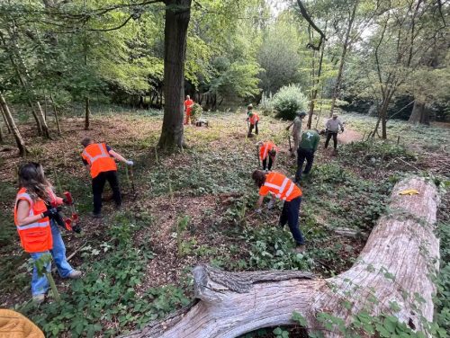 Volker volunteers_1